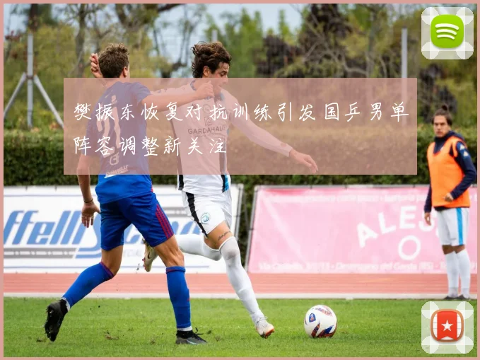 樊振东恢复对抗训练引发国乒男单阵容调整新关注