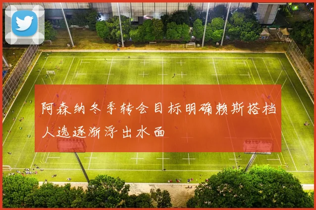 阿森纳冬季转会目标明确赖斯搭档人选逐渐浮出水面